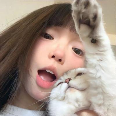 血之泪